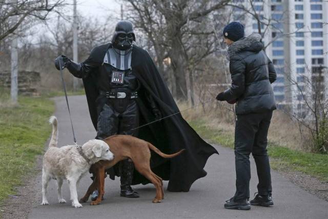 daily picdump weekend edition 74 pics 10.html - 74 HD Photos | Premium Gallery 2018