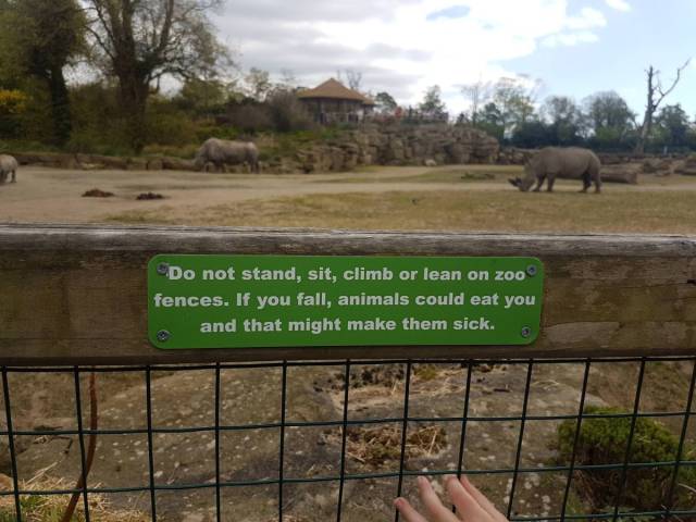 daily picdump weekend edition 74 pics 10.html - 74 HD Photos | Premium Gallery 2018