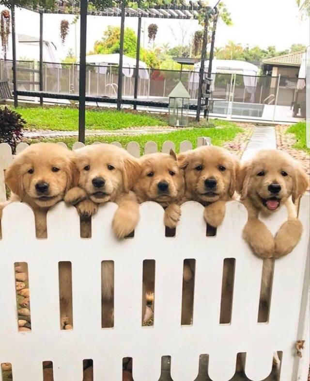 daily picdump weekend edition 74 pics 10.html - 74 HD Photos | Premium Gallery 2018