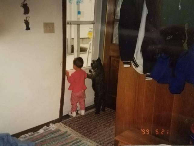 daily picdump 96 pics 11.html - 96 HD Photos | Premium Gallery 2018