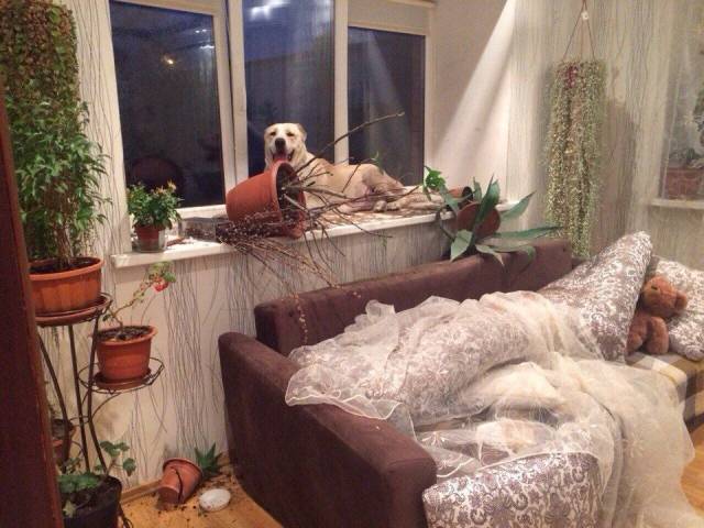 daily picdump 96 pics 11.html - 96 HD Photos | Premium Gallery 2018