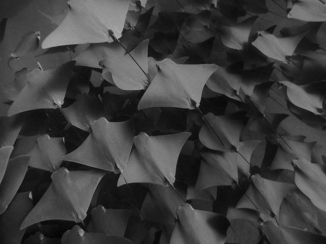 daily picdump 96 pics 11.html - 96 HD Photos | Premium Gallery 2018