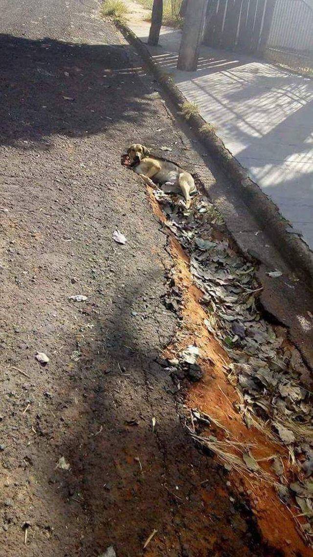 daily picdump 96 pics 11.html - 96 HD Photos | Premium Gallery 2018