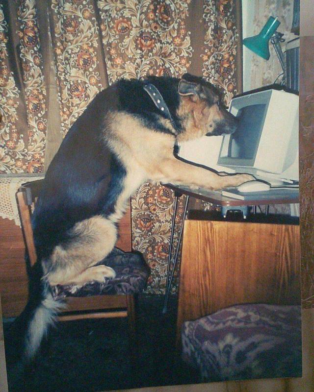 daily picdump 96 pics 11.html - 96 HD Photos | Premium Gallery 2018