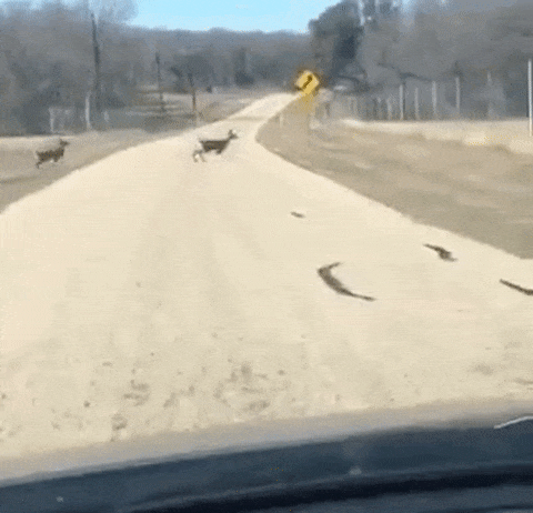 Rejoice! Fails Are Here Again!