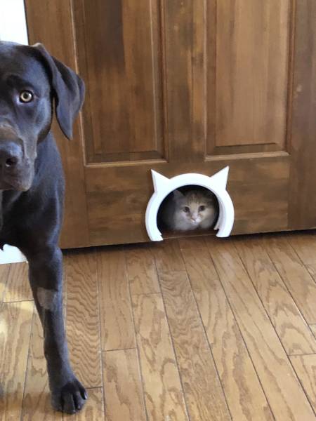 morning picdump 50 pics 46.html - 50 HD Photos | Premium Gallery 2018