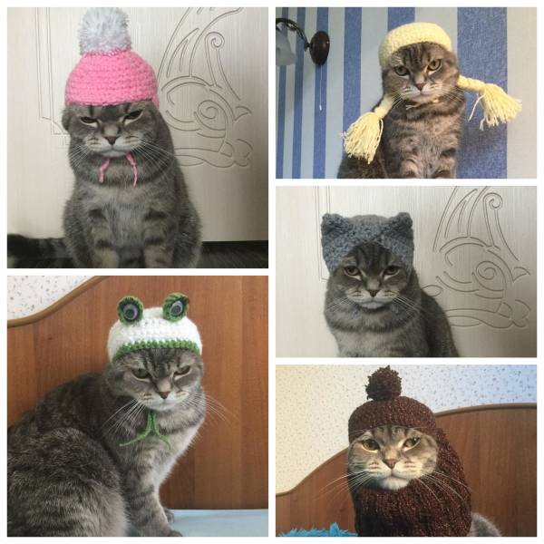 morning picdump 50 pics 46.html - 50 HD Photos | Premium Gallery 2018