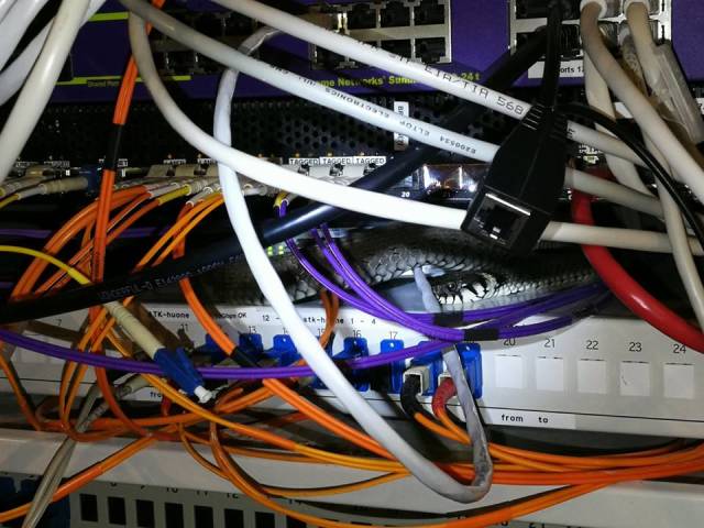 morning picdump 50 pics 46.html - 50 HD Photos | Premium Gallery 2018