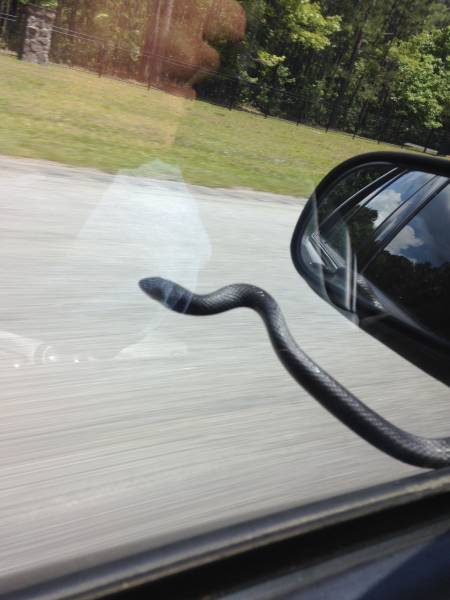 morning picdump 50 pics 46.html - 50 HD Photos | Premium Gallery 2018