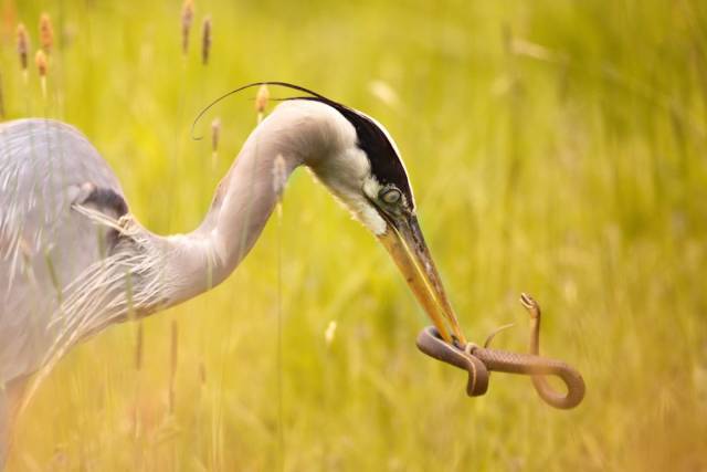 daily picdump 90 pics 29.html - 90 HD Photos | Premium Gallery 2018