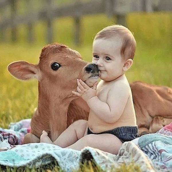 daily picdump 90 pics 29.html - 90 HD Photos | Premium Gallery 2018