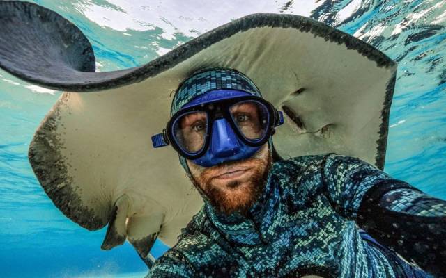 daily picdump 90 pics 29.html - 90 HD Photos | Premium Gallery 2018