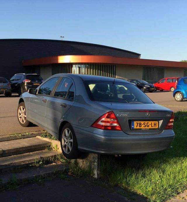 daily picdump 90 pics 29.html - 90 HD Photos | Premium Gallery 2018