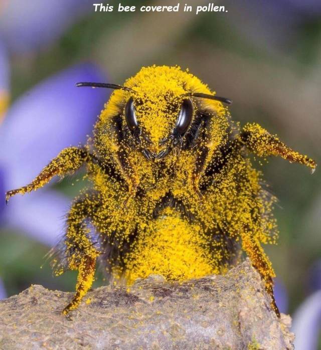 daily picdump 90 pics 29.html - 90 HD Photos | Premium Gallery 2018