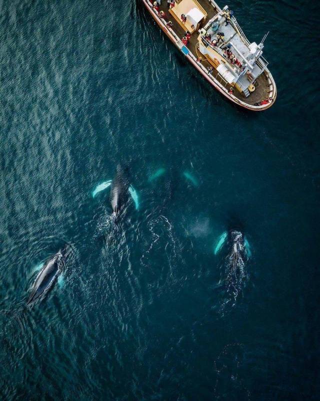 daily picdump 90 pics 29.html - 90 HD Photos | Premium Gallery 2018