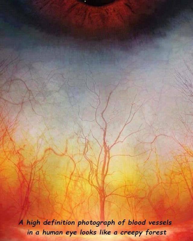 daily picdump 90 pics 29.html - 90 HD Photos | Premium Gallery 2018