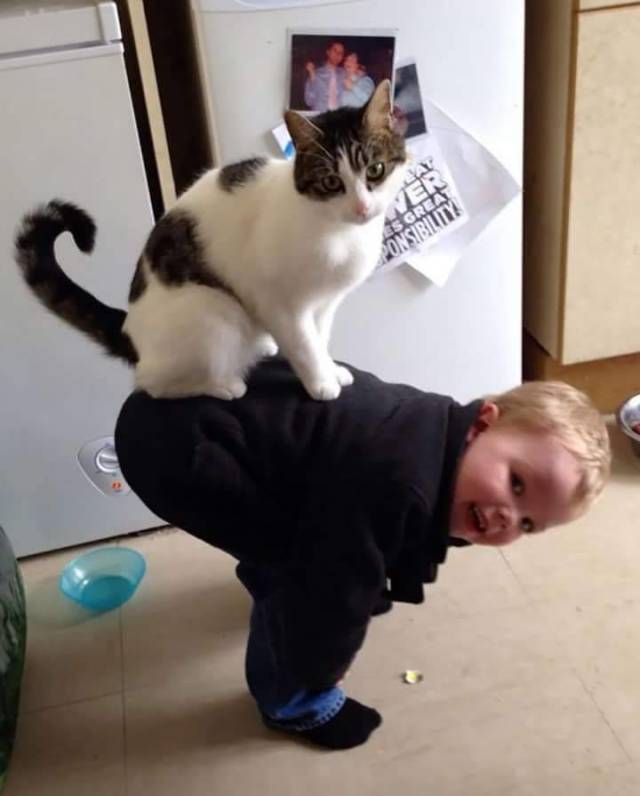 daily picdump 90 pics 29.html - 90 HD Photos | Premium Gallery 2018