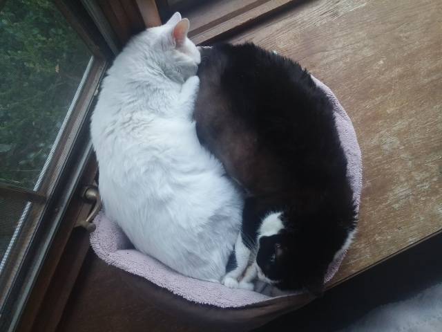 morning picdump 52 pics 24.html - 52 HD Photos | Premium Gallery 2018