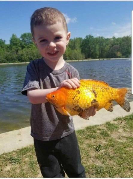 morning picdump 52 pics 24.html - 52 HD Photos | Premium Gallery 2018