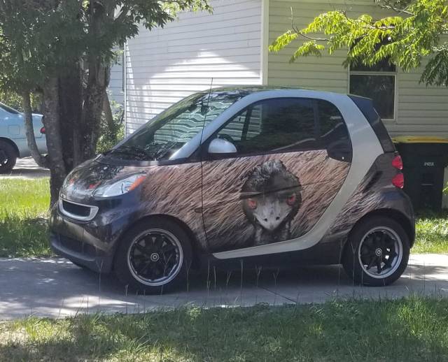 morning picdump 52 pics 24.html - 52 HD Photos | Premium Gallery 2018