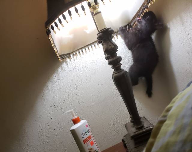 morning picdump 52 pics 24.html - 52 HD Photos | Premium Gallery 2018