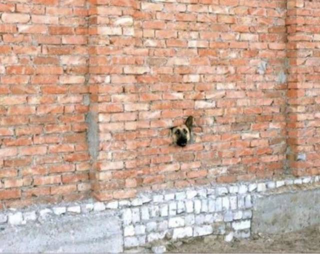 morning picdump 52 pics 24.html - 52 HD Photos | Premium Gallery 2018