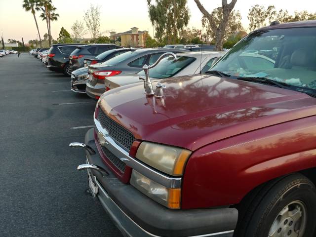 morning picdump 52 pics 24.html - 52 HD Photos | Premium Gallery 2018