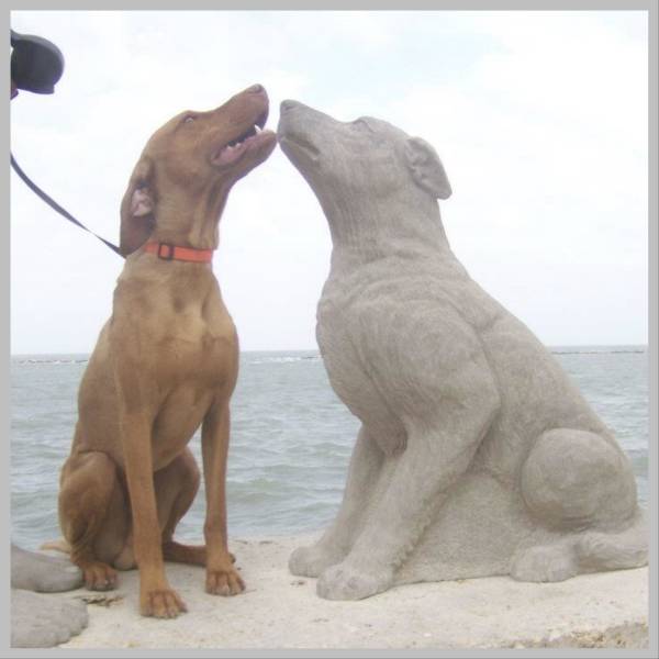 morning picdump 52 pics 24.html - 52 HD Photos | Premium Gallery 2018