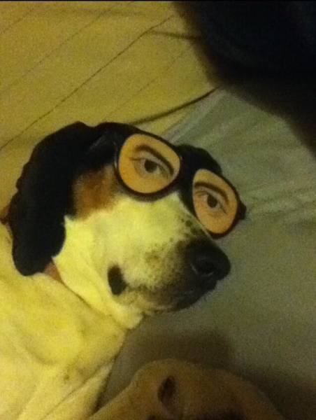 morning picdump 52 pics 24.html - 52 HD Photos | Premium Gallery 2018