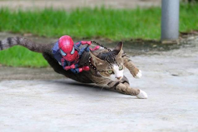 morning picdump 52 pics 24.html - 52 HD Photos | Premium Gallery 2018