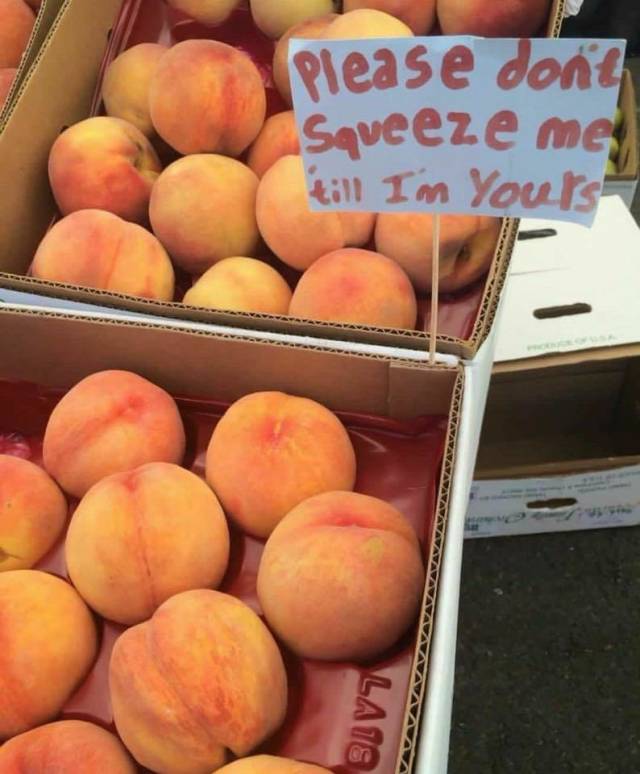 morning picdump 52 pics 24.html - 52 HD Photos | Premium Gallery 2018