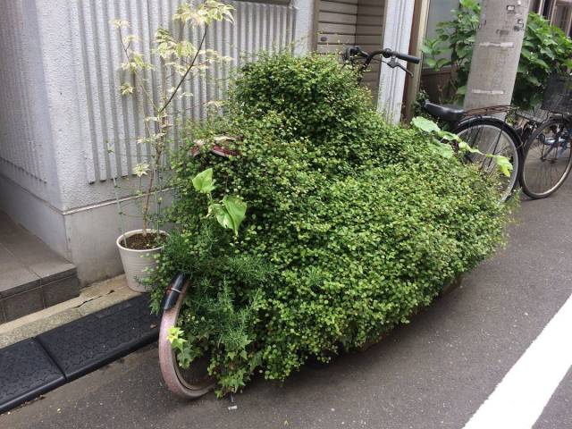 daily picdump 98 pics 38.html - 98 HD Photos | Premium Gallery 2018