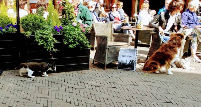 daily picdump 98 pics 38.html - 98 HD Photos | Premium Gallery 2018