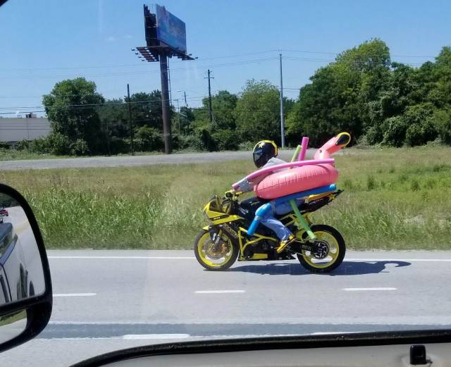 daily picdump 98 pics 38.html - 98 HD Photos | Premium Gallery 2018