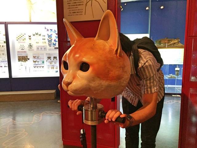 daily picdump 98 pics 38.html - 98 HD Photos | Premium Gallery 2018