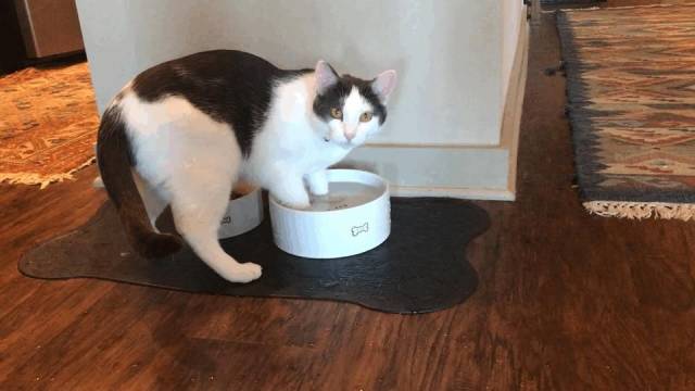 daily picdump 98 pics 38.html - 98 HD Photos | Premium Gallery 2018