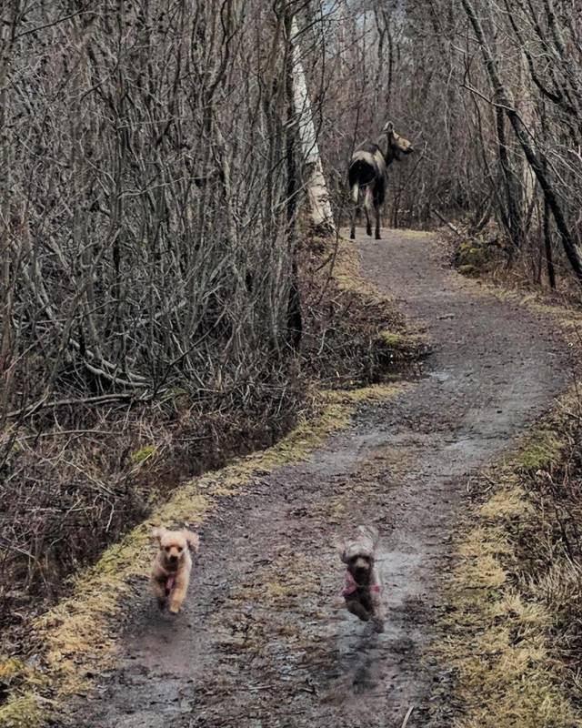 daily picdump 98 pics 38.html - 98 HD Photos | Premium Gallery 2018