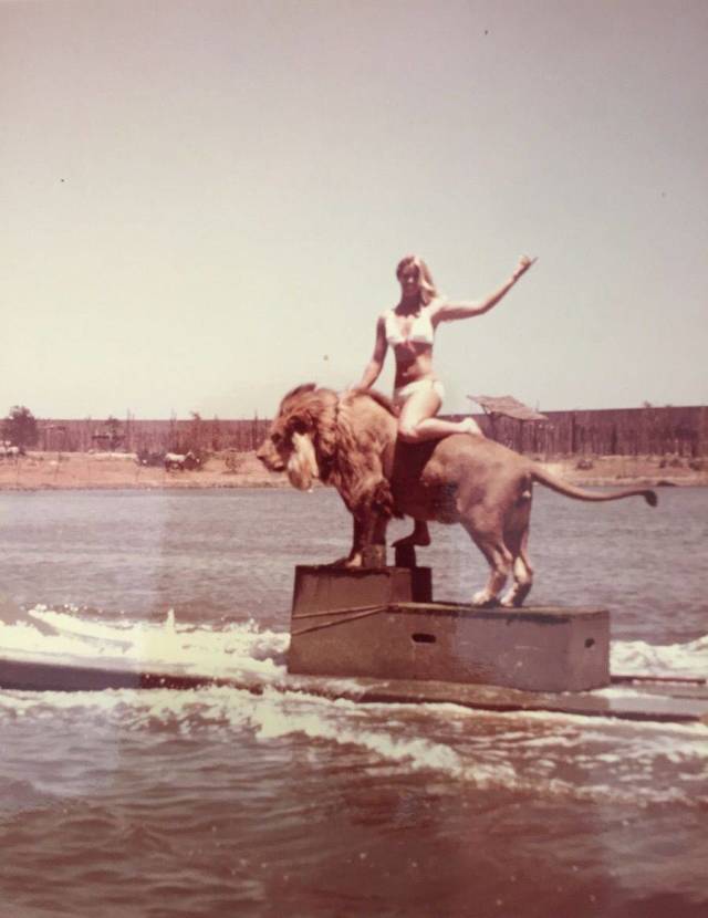 daily picdump 98 pics 38.html - 98 HD Photos | Premium Gallery 2018