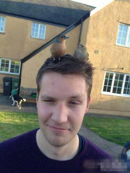 morning picdump 52 pics 1.html - 52 HD Photos | Premium Gallery 2018