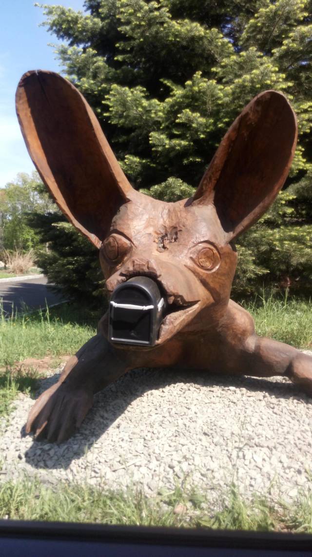 morning picdump 52 pics 1.html - 52 HD Photos | Premium Gallery 2018