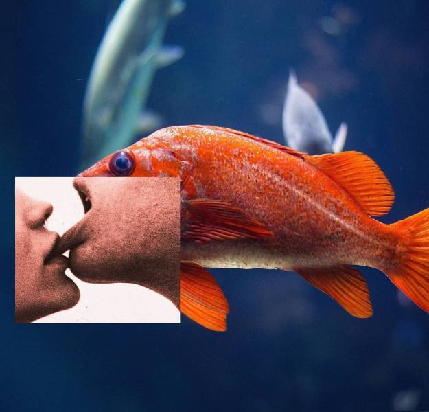 daily picdump 89 pics 28.html - 89 HD Photos | Premium Gallery 2018