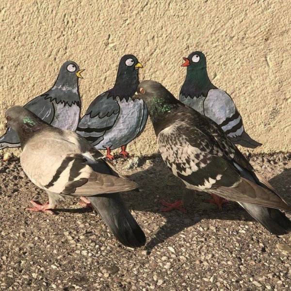 daily picdump 89 pics 28.html - 89 HD Photos | Premium Gallery 2018