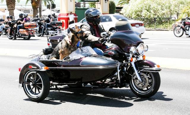 daily picdump 89 pics 28.html - 89 HD Photos | Premium Gallery 2018