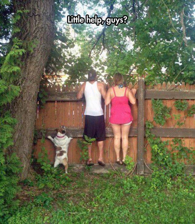 daily picdump 89 pics 28.html - 89 HD Photos | Premium Gallery 2018