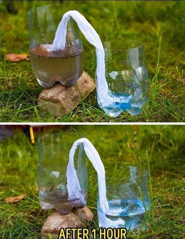 daily picdump 89 pics 28.html - 89 HD Photos | Premium Gallery 2018