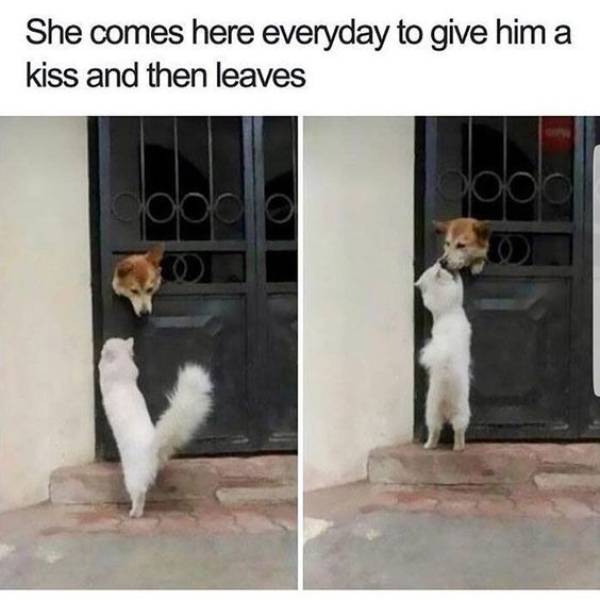 morning picdump 50 pics 19.html - 50 HD Photos | Premium Gallery 2018