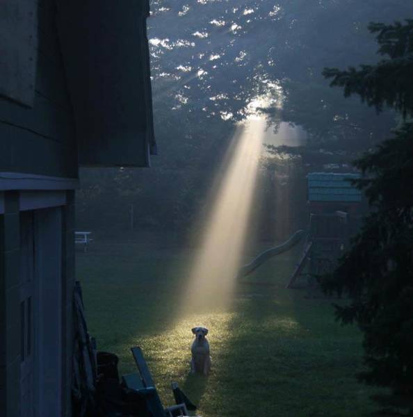 morning picdump 50 pics 19.html - 50 HD Photos | Premium Gallery 2018