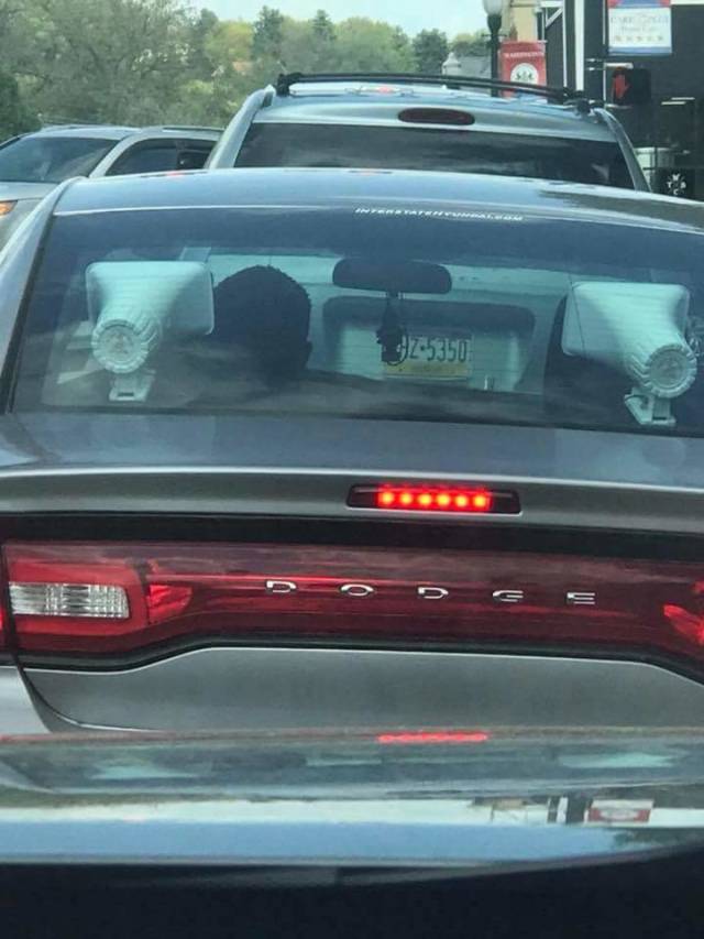 morning picdump 50 pics 19.html - 50 HD Photos | Premium Gallery 2018