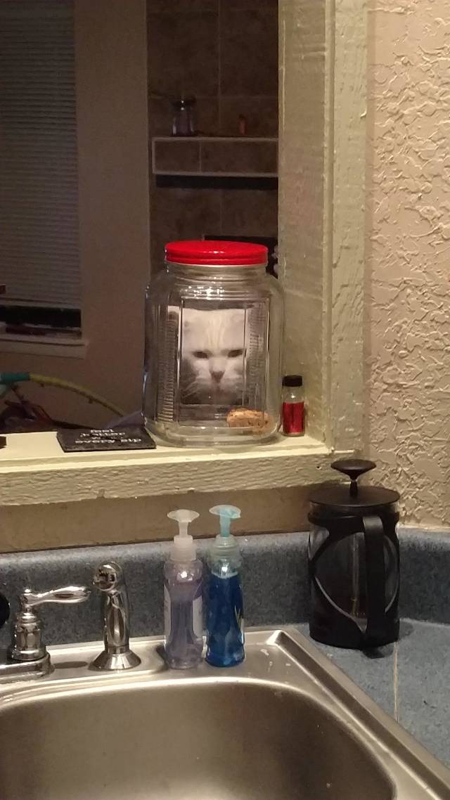 morning picdump 50 pics 19.html - 50 HD Photos | Premium Gallery 2018