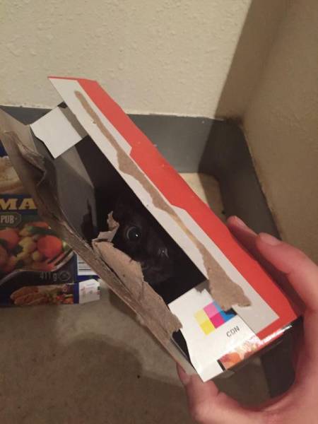 morning picdump 50 pics 19.html - 50 HD Photos | Premium Gallery 2018